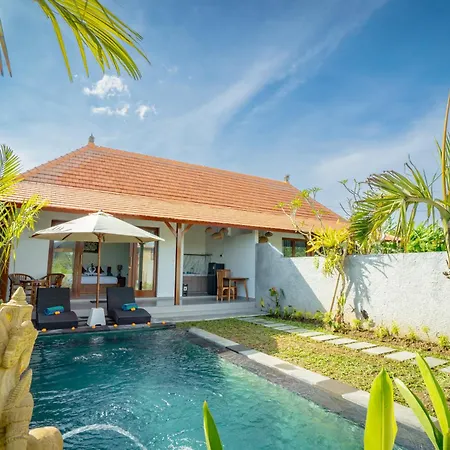 The Wise Ubud