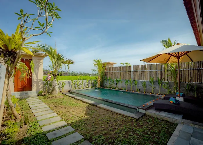 The Wise 1 Bedroom Private Pool