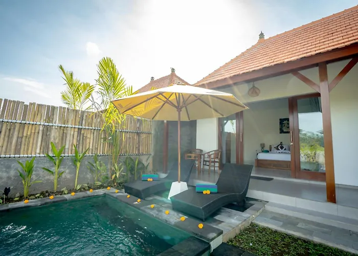 The Wise 1 Bedroom Private Pool